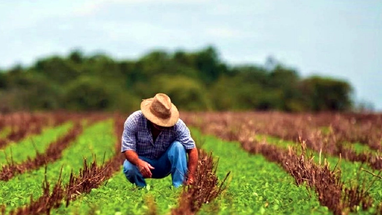 La justicia agraria contribuye a la paz social