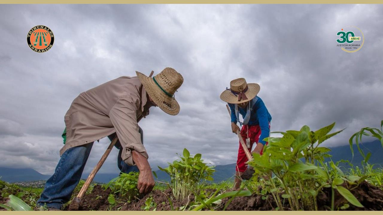 La Justicia agraria, contribuye a la convivencia armónica de los habitantes del campo y consecuentemente beneficia al desarrollo y economía  del  país