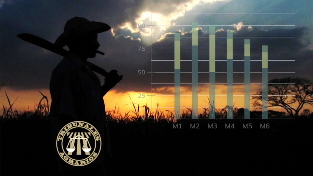Los Tribunales Agrarios avanzan en favor de las personas que demandan justicia agraria